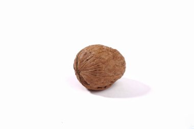 vahşi ceviz beyaz arka plan üzerinde izole