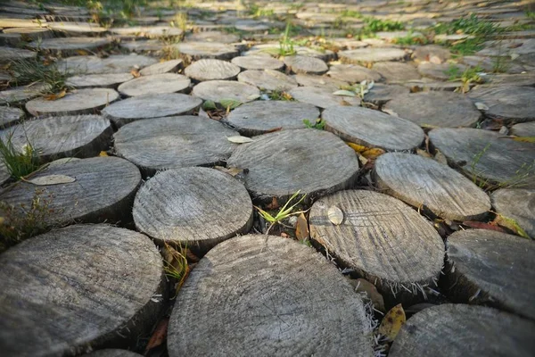 Cobbled with wood, a road or a path. Natural background. Copy space.