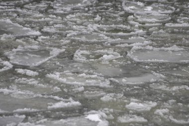 Curonian Lagünü yüzeyinde buz parçaları nın arka plan