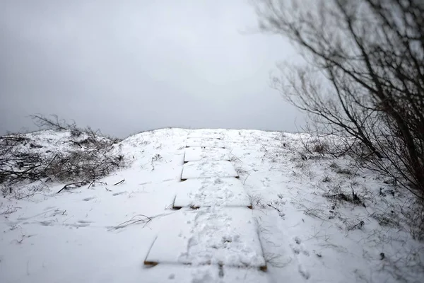 Winterlandschaft Der Ostsee Der Nähe Der Stadt Neringa Nida Der — Stockfoto