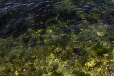 Sudaki kayalar. Berrak deniz suyunda pürüzsüz küçük taşlar. Soyut arka plan.