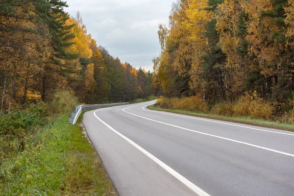 Sonbahar ormanında yol bomboş. Rusya 'da altın güzel sonbahar. 