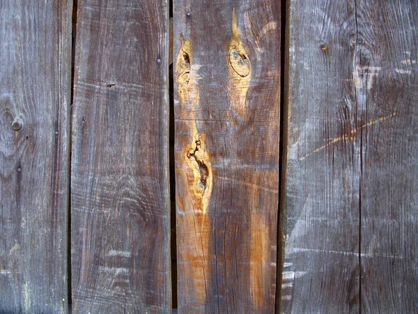 Фрагмент Дверей Старого Сараю — стокове фото