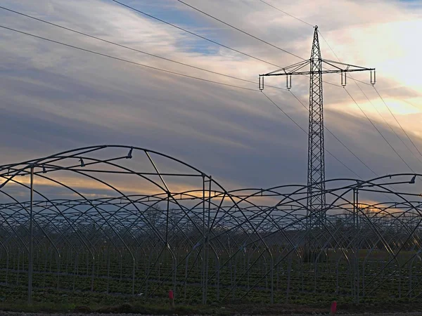 Greenhouses under high-voltage lines in autumn evening