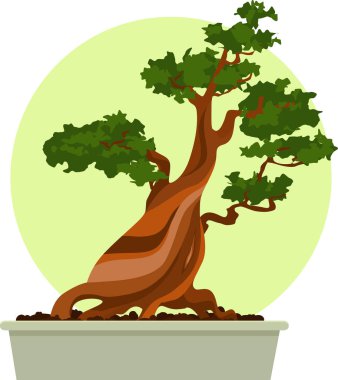 Bonsai ağacı bir tencerede, Eps 8 vektör çizim