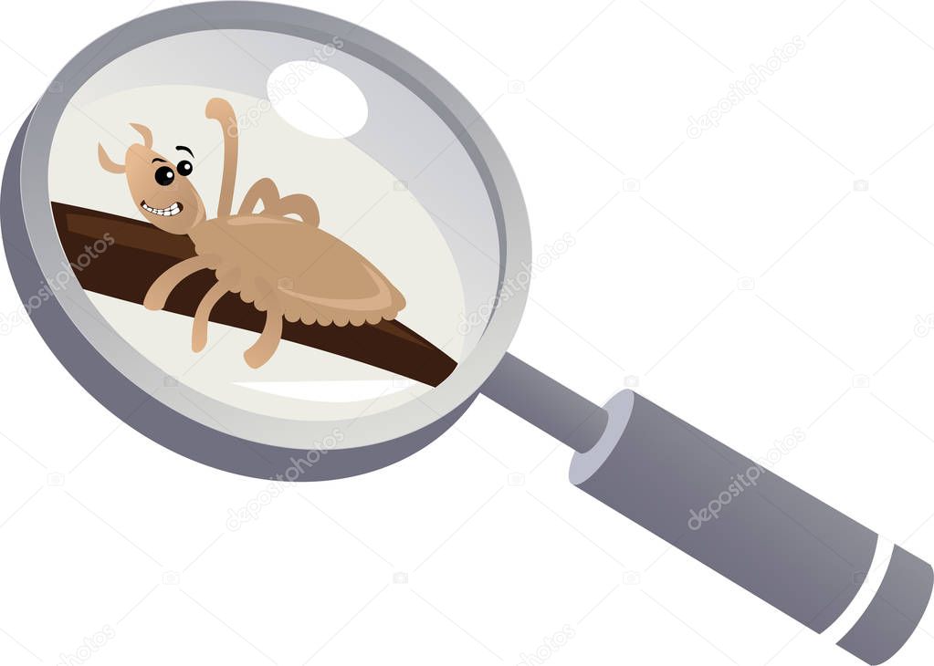 Pediculosis: a head louse under a magnifying glass, EPS 8 vector illustration