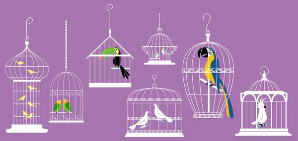 Oiseaux Exotiques Dans Des Cages Décoratives Illustration Vectorielle Eps — Image vectorielle