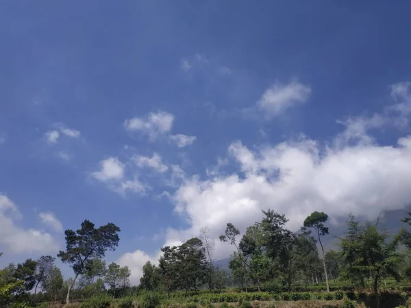 Bela paisagem natural diurna ao ar livre natureza fundo azul céu em tambi wonosobo indonésia — Fotografia de Stock