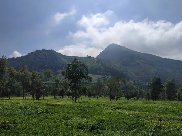 Beautiful natural landscape daytime outdoor nature background blue sky - at Tambi Wonosobo province Central Java of Indonesia — Stock Photo, Image