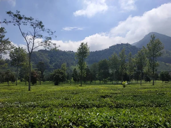 Hermoso paisaje natural diurno naturaleza al aire libre fondo cielo azul —  Fotos de Stock