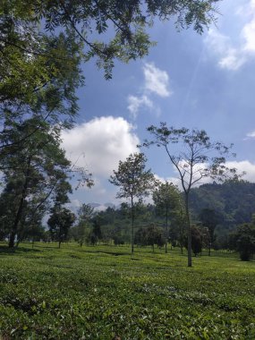 Güzel doğal manzara gündüz doğa arka plan açık gökyüzü mavi