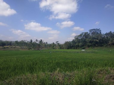 arka plan beyaz bulut gökyüzü güzel mavi