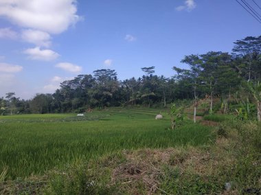 arka plan beyaz bulut gökyüzü güzel mavi