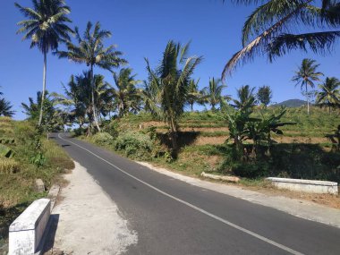 arka plan asfalt boş gökyüzü mavi yol