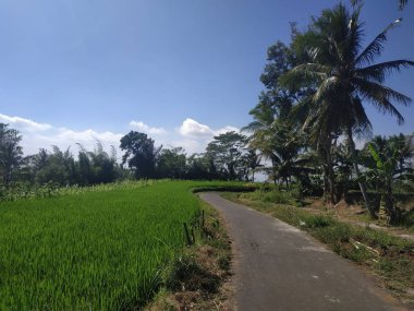 arka plan asfalt boş gökyüzü mavi yol