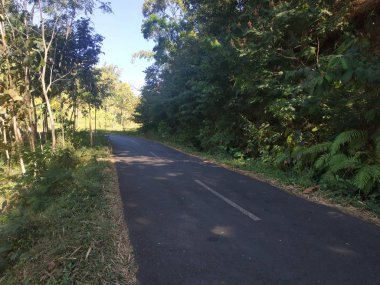 arka plan asfalt boş gökyüzü mavi yol