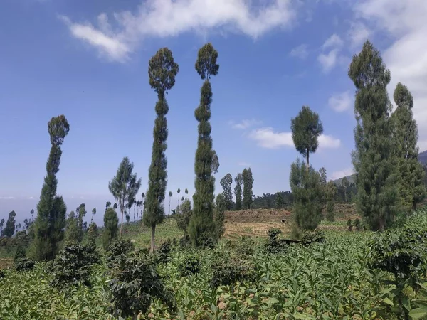 Hermoso paisaje natural diurno naturaleza al aire libre fondo cielo azul —  Fotos de Stock