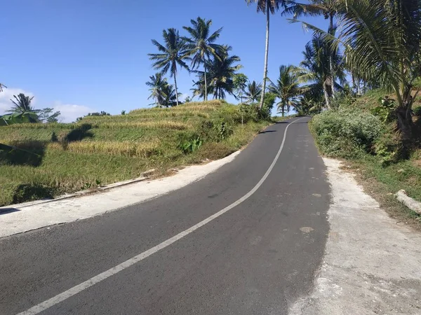 Camino de asfalto vacío fondo cielo azul cocotero — Foto de Stock