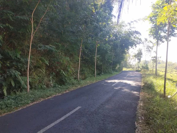 Vazio asfalto estrada fundo azul céu — Fotografia de Stock