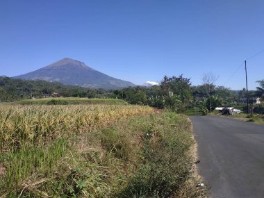 arka plan asfalt boş gökyüzü mavi yol