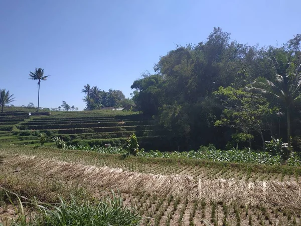 蓝色背景的天空 — 图库照片