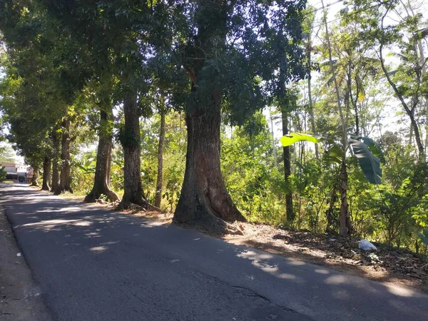 Vazio asfalto estrada fundo azul céu — Fotografia de Stock