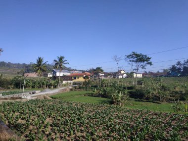 görünüm güzel doğa gökyüzü mavi sabah