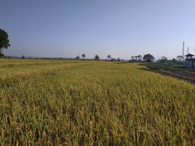 görünüm güzel doğa gökyüzü mavi sabah