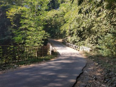 güzel doğa sabah görünümü