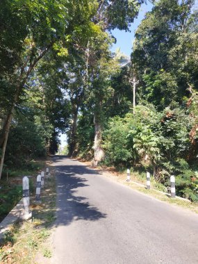 güzel doğa sabah görünümü