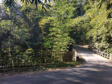 güzel doğa sabah görünümü