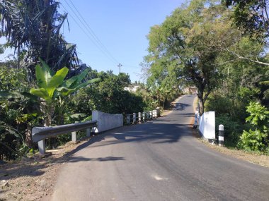 güzel doğa sabah görünümü