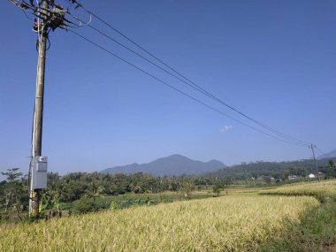 görünüm güzel doğa gökyüzü mavi sabah