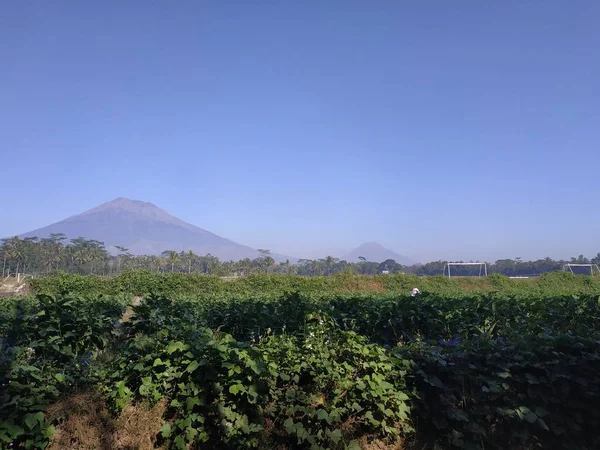 Hermosa naturaleza mañana vista cielo azul fondo montaña —  Fotos de Stock