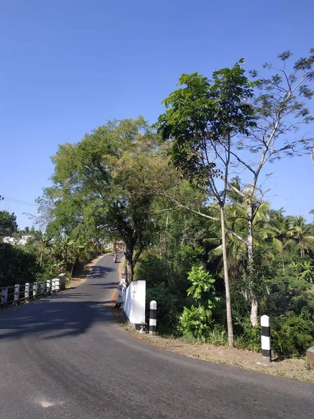 Bela natureza vista da manhã — Fotografia de Stock