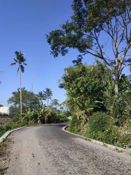 Bela natureza manhã vista céu azul — Fotografia de Stock