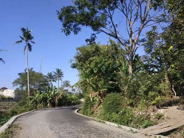 Belle vue sur la nature le matin - Route de campagne avec des arbres à côté du concept — Photo