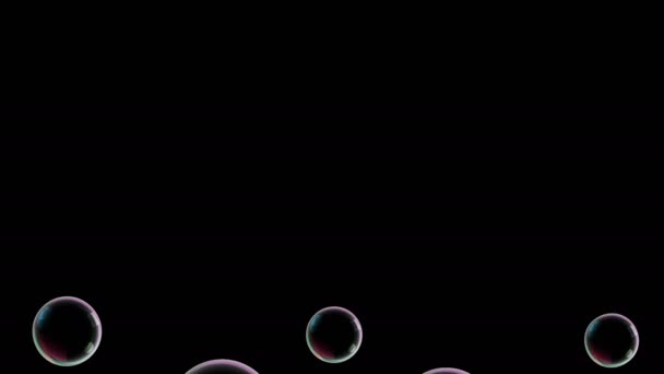 Soap bubbles fly in empty screen from below fly up and burst on the middl of screen. — Stock Video