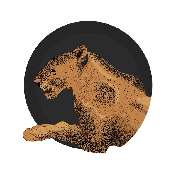 Illustration vectorielle du museau de lionne . — Image vectorielle