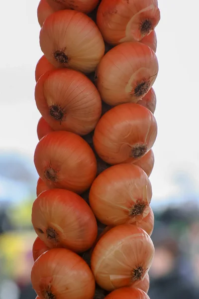 Bunch Onions Farmers Fair Lithuania — Stock Photo, Image