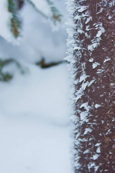 beautiful frost on the iron pipe