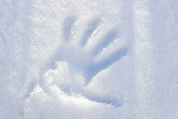 çocuğun el Künye beyaz Şubat kar üzerinde