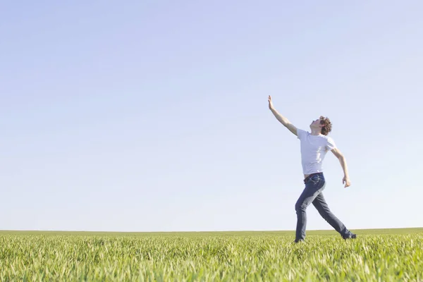 bahar geldi. yeşil buğday çekimleri