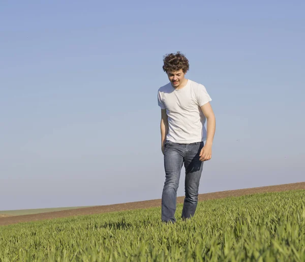 çocuk genç buğday yeşil çeklerle kaplı bir alanda yürüyüş