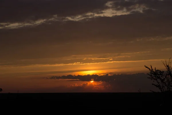 Güzel şafak. bulutlarda ufukta yükselen sarı güneş