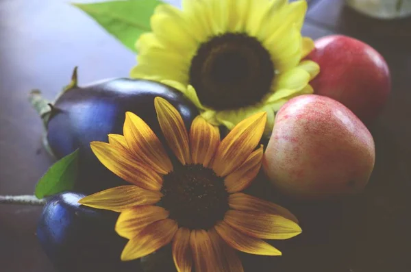 Taze elma, patlıcan ve ayçiçeği Puerto Rico'da ateş aldı. Organik Tarım, taze çiftçilerin piyasa sonbaharda hasat. Lezzetli organik gıda