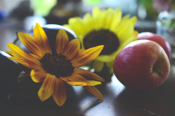 Manzanas Recién Recogidas Berenjena Girasol Puerto Rico Agricultura Ecológica Los — Foto de Stock