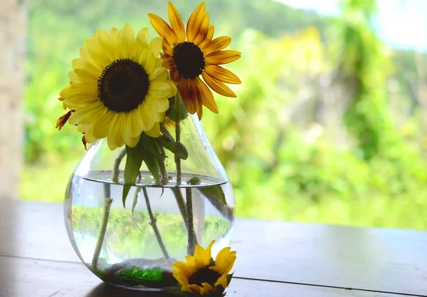 Manojo Fresco Flores Jardín Casero Orgánico Crisantemos Girasoles Jarrón Hermoso — Foto de Stock