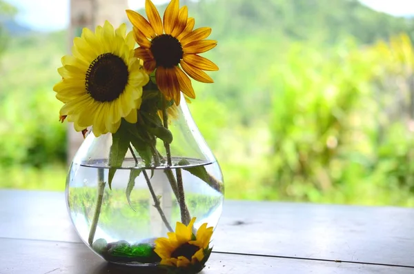 Frische Bündel Von Blumen Aus Biologischem Hausgarten Chrysanthemen Und Sonnenblumen — Stockfoto