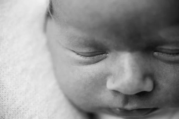 Yeni Doğmuş Bebek Yüzü Makro — Stok fotoğraf